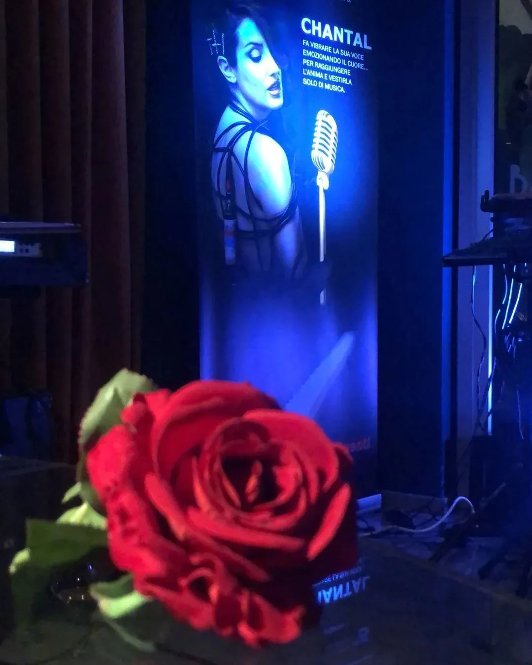 Una rosa rossa in primo piano; dietro, sfocato, il roll-up di Chantal accanto al palco.
